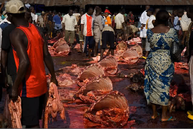 Clampdown on illegal Abattoirs begins in Lagos