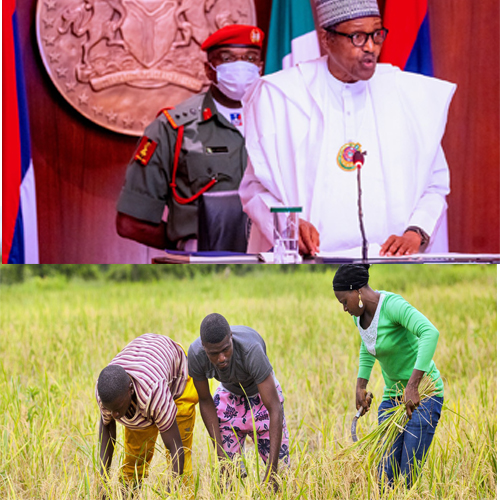 President Buhari flags off National Young Farmers Scheme