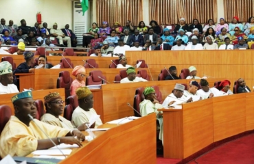 Lagos Assembly holds Public Hearing on proposed Law Against Land-Grabbing