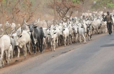 Police denies relocation of herders to Ekiti State