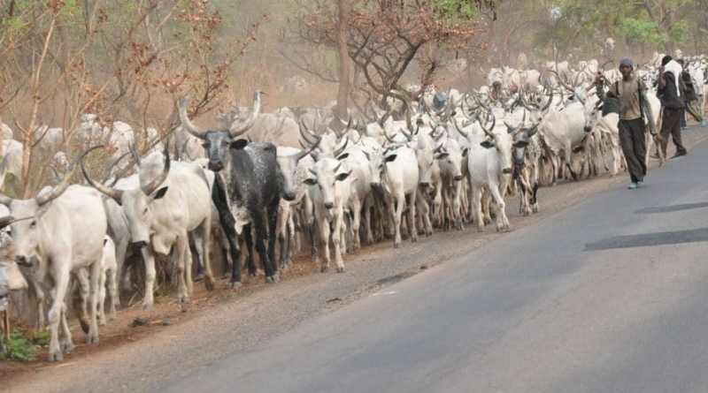Police denies relocation of herders to Ekiti State