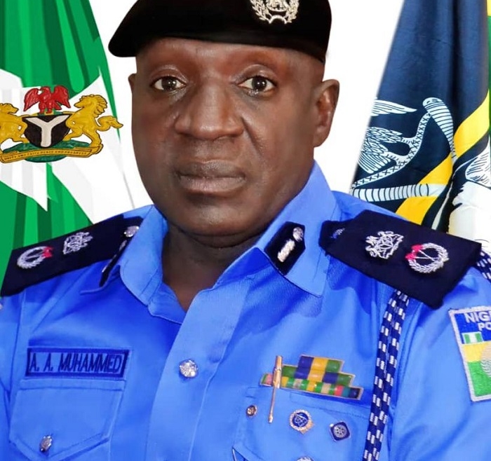 Police orders movement restriction in Delta State for council elections