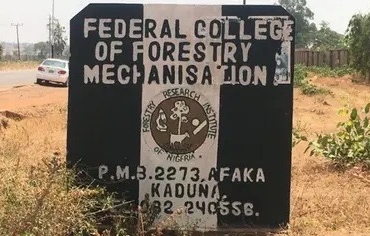 Bandits release new video of kidnapped students of Federal College of Forestry Mechanisation, Kaduna