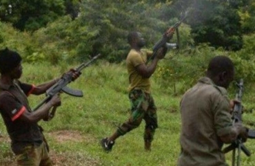Gunmen attack 3 Ebonyi villages, as kidnappers free catholic priest in Imo