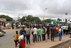 Protesters Burn Benue King Palace, LG Secretariat Because Of Killings