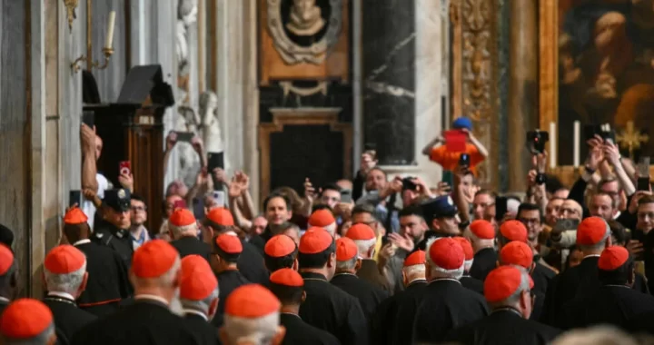 Cardinals Go Choose New Pope On May 7